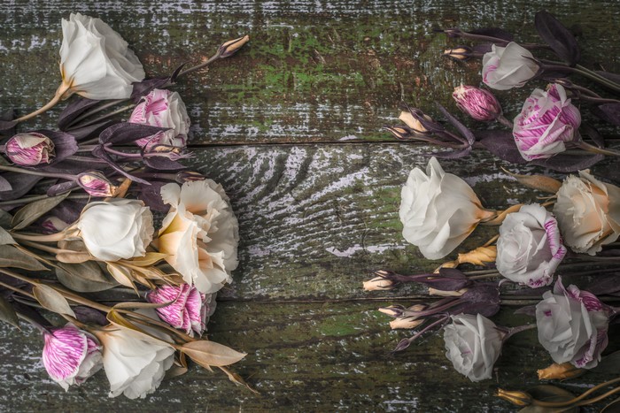 Eustoma flowers and buds on a wooden surface