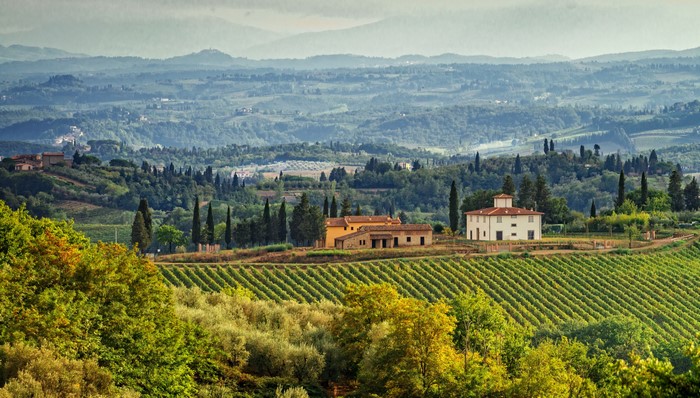 Tuscan landscape with vineyards and houses