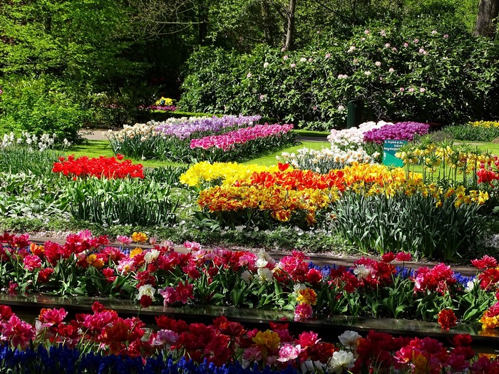 Keukenhof Gardens in the Netherlands with Tulips and Daffodils