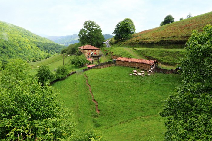 Rural houses and sheep in Irurita, Navarre, Spain