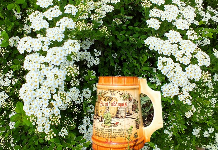 Beer mug with illustration in front of white flowers