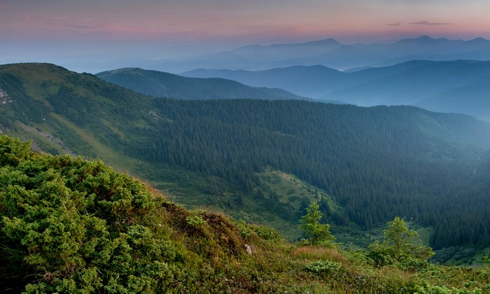 4K Mountains and Forests in Zakarpattia, Ukraine