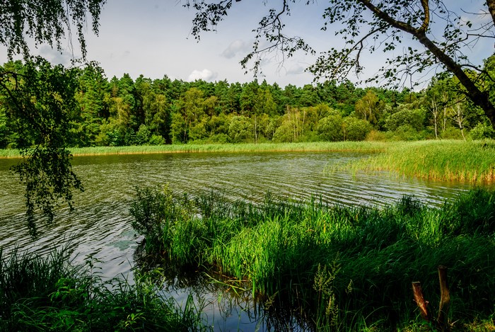 Lake and forest in Oranienburg, Germany