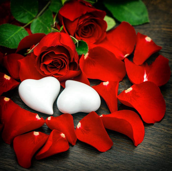 Red roses and petals with two white hearts