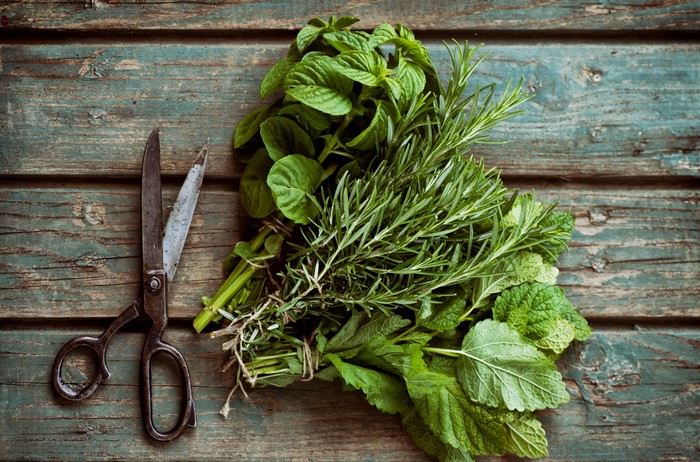 Fresh Herbs and Vintage Scissors on Wooden Table