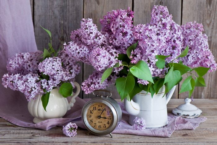 Lilacs in vases with an alarm clock