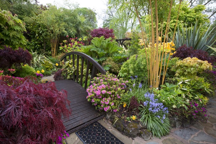 Japanese Garden with Wooden Bridge and Bamboo