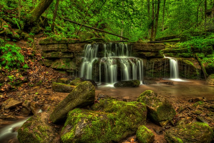 Waterfall cascading over mossy rocks in a forest