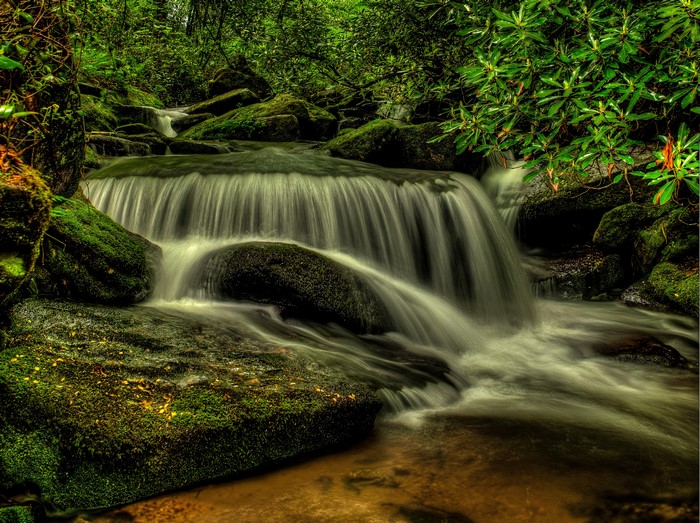 Shoal Creek Falls in Pisgah National Forest, North Carolina