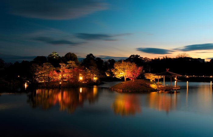 Japanese garden with illuminated trees and pond at night
