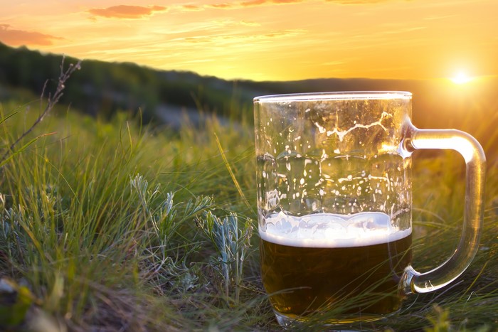 Beer Mug with Foam in Grass at Sunset