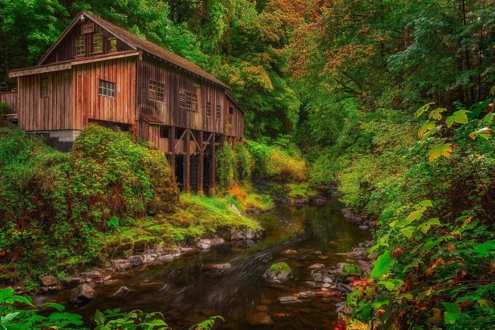 Cedar Creek Grist Mill in Autumn Woodland