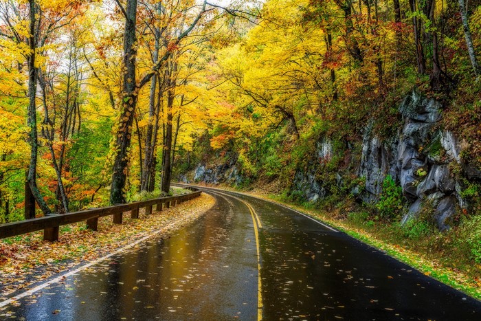 Road through Great Smoky Mountains in Autumn