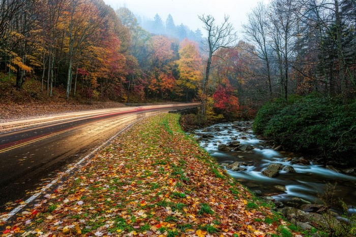 Roadside stream and autumn foliage in Great Smoky Mountains National Park