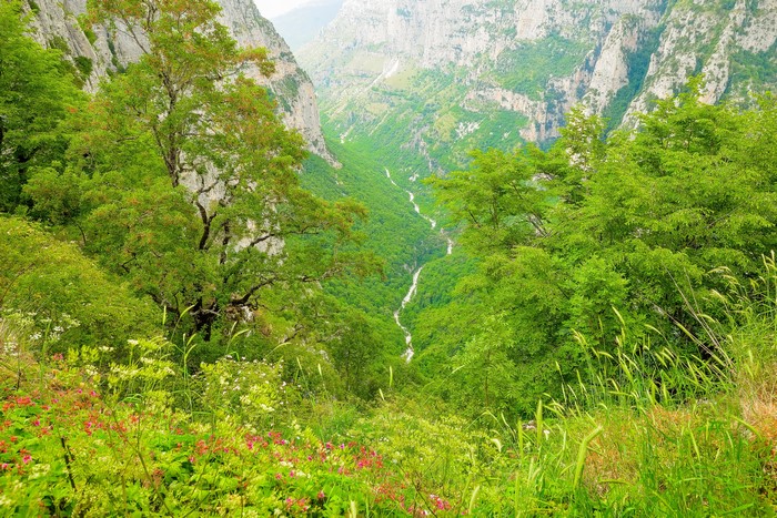 Voidomatis River Gorge, Greece