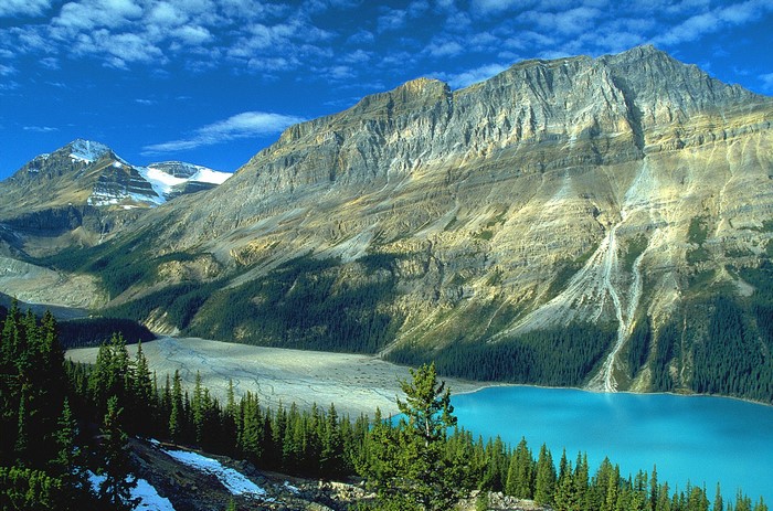 Peyto Lake and Mountains in Banff National Park, Canada