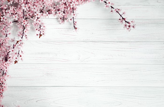 Flowering branches on white wooden planks