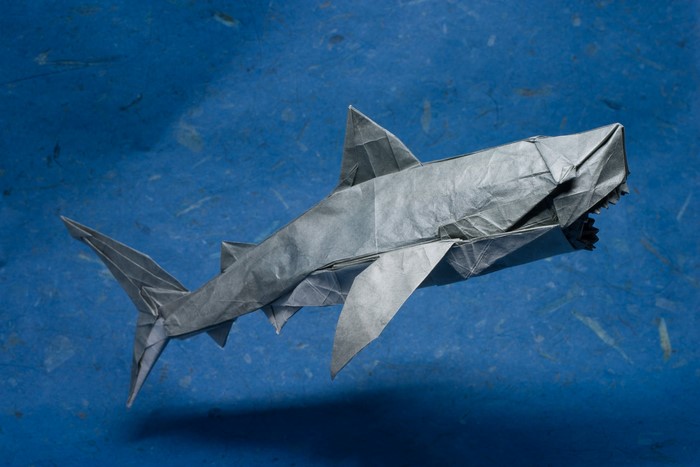 Origami shark made of gray paper on a blue background