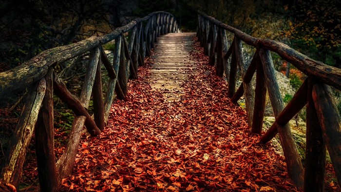 Wooden bridge covered in autumn leaves