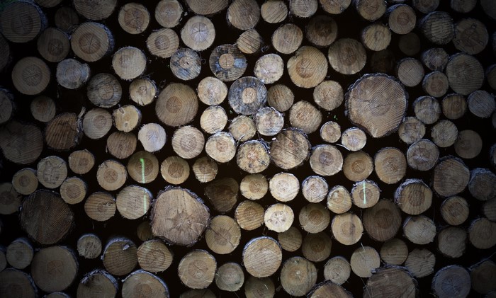 Texture of stacked wooden logs