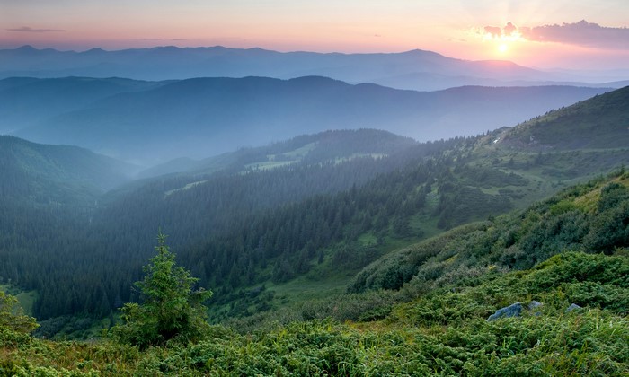 4K Mountains Sunrise Sunset Forests Ukraine Carpathians