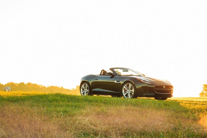 Jaguar F-Type V8 S Convertible on Grass