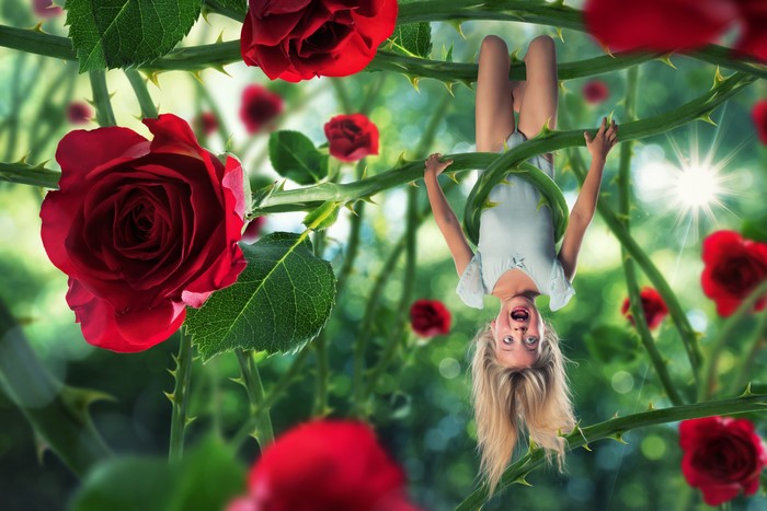 Girl hanging upside down on rose branches