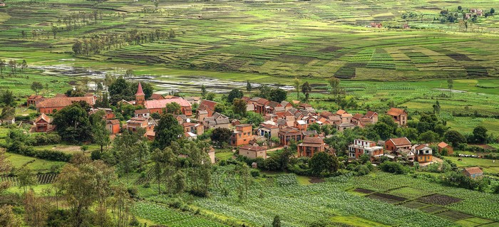 Village with red-roofed houses and terraced fields in Madagascar
