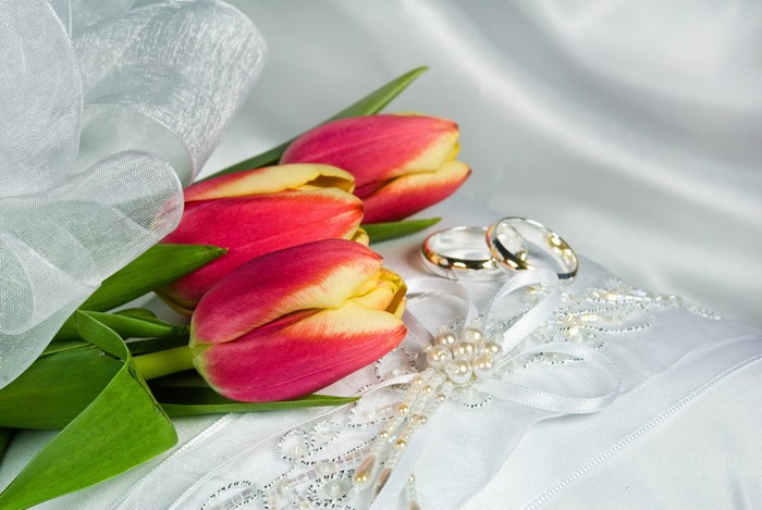 4K Tulips and Wedding Rings