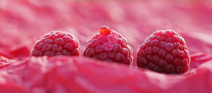 Three raspberries with a water droplet