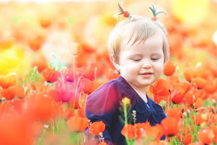 4K Little girl in a field of poppies