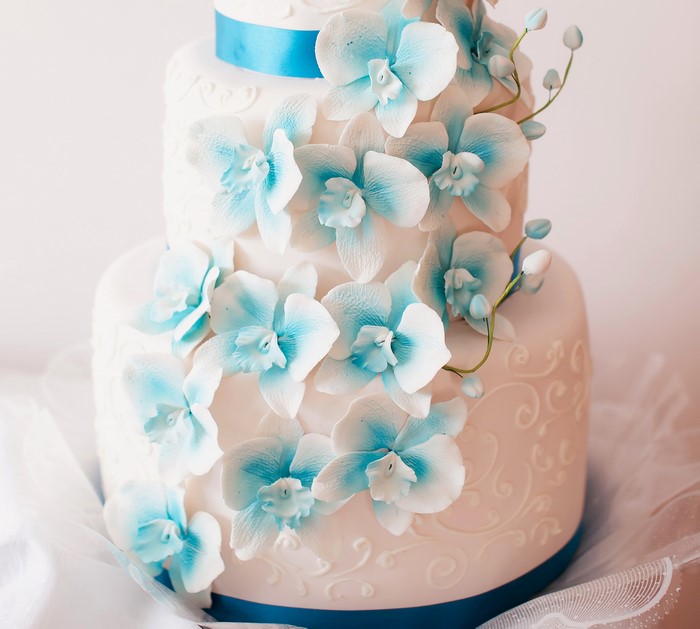 White tiered cake with blue orchids