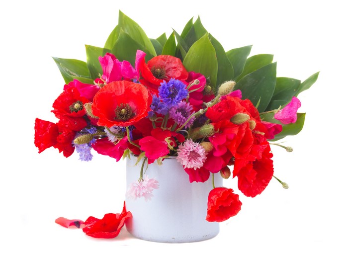 Bouquet of Poppies and Cornflowers in a Vase