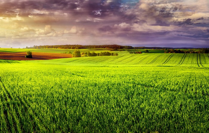 4K Fields with Clouds