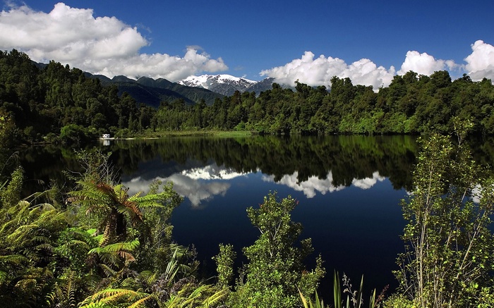 Lake reflection with snow-capped mountains and forest
