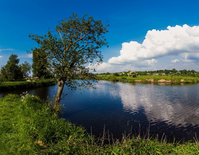 River and trees under a blue sky with clouds