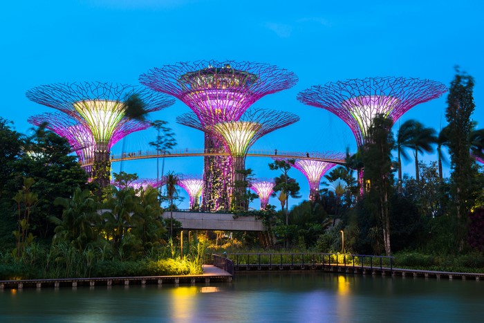 Gardens by the Bay Singapore at Dusk