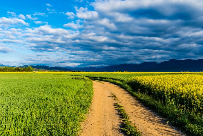 4K Scenic Fields and Road Under Cloudy Sky in Catalonia