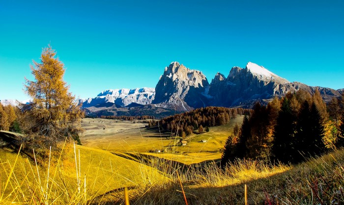 Autumn mountain landscape with yellow trees and rocky peaks