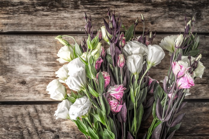 Bouquet of white and pink Eustoma flowers on wooden background