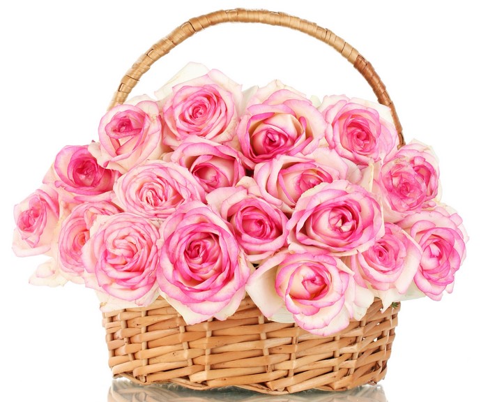 4K Pink Roses in Wicker Basket