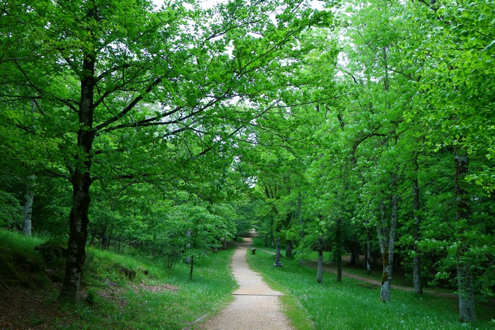 Trail through Urkiola Basque Country, Spain