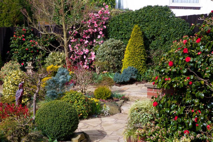 Walsall Garden England with Roses and Shrubs