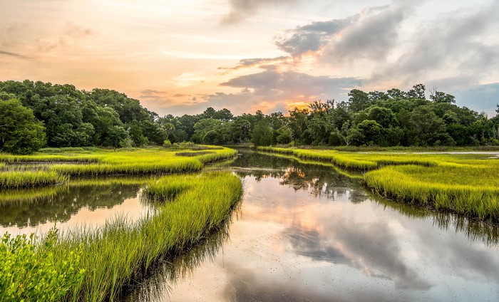 Marsh river with grass and trees at sunset