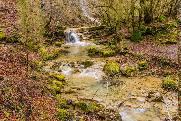Stream flowing over mossy stones in Catalonia, Spain