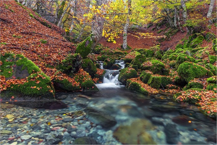 Autumn forest stream with mossy rocks and fallen leaves