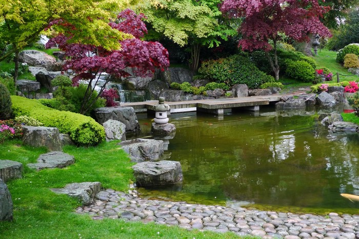 Japanese garden with pond, bridge, and trees in Holland Park, London