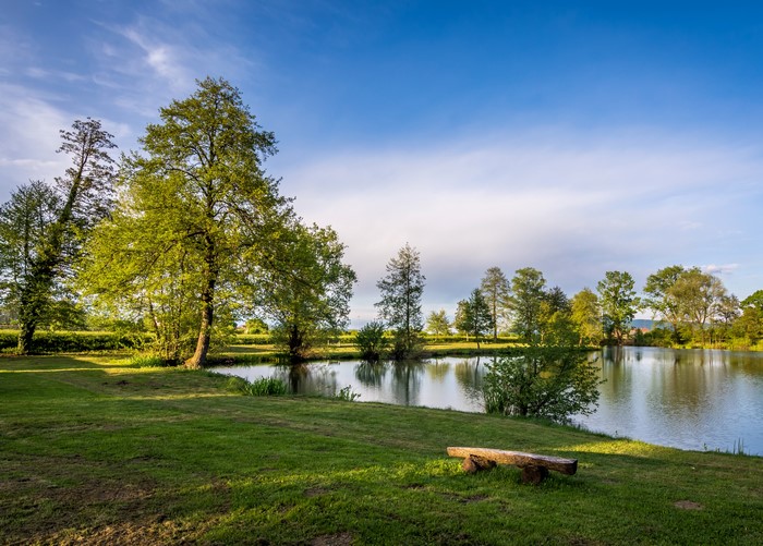 Lake and trees in Bobovica, Croatia
