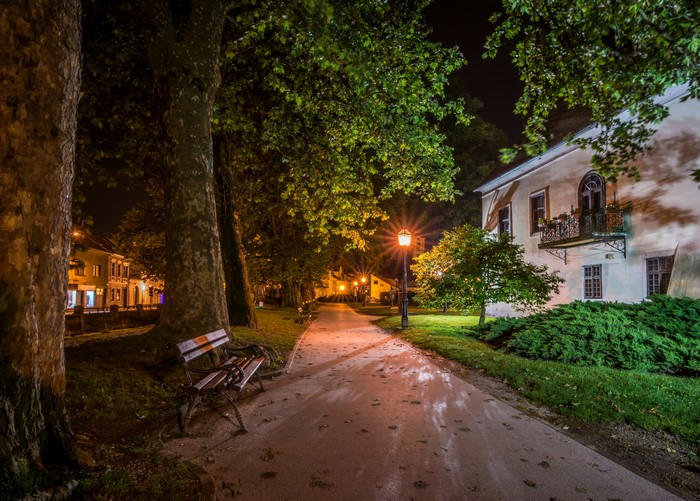 Park path at night with streetlights and buildings
