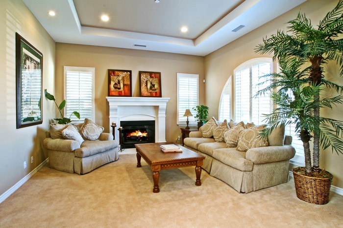 Living room with fireplace, sofa, and armchair